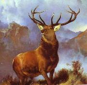 Sir edwin henry landseer,R.A. Monarch of the Glen by Sir Edwin Landseer oil painting picture wholesale